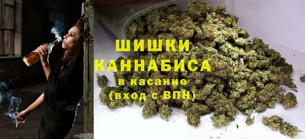 крисы Горнозаводск